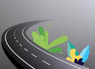 Pull - Manakodi road opened, also a boon for tourism